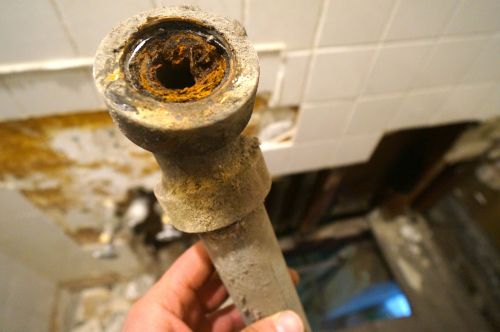 Yup... serious clogs and cracks in all the drain pipes. 